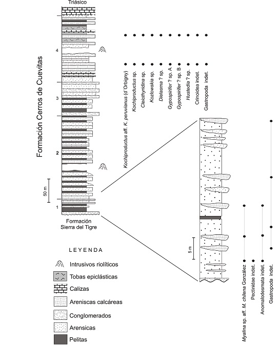 fig.3