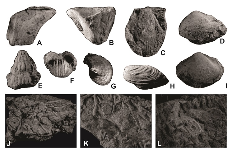 fig.5