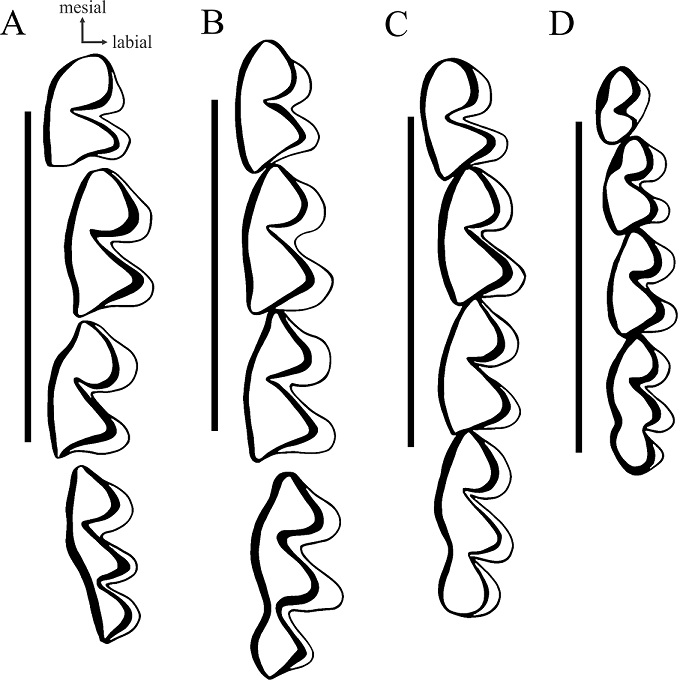 fig.4