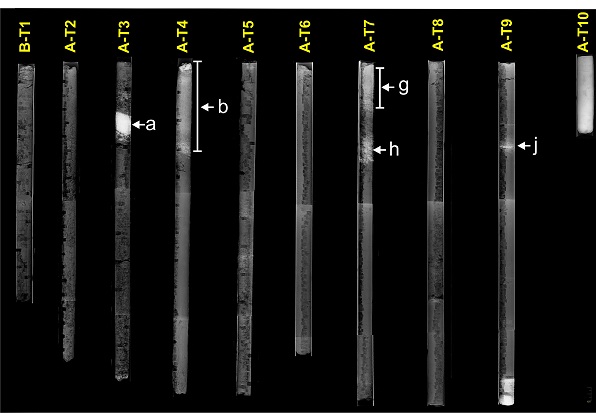 fig.4