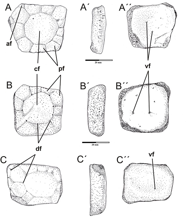 fig.4