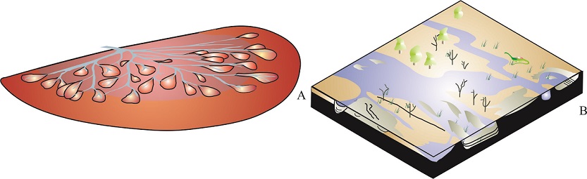 fig.7