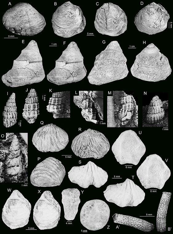 fig.3