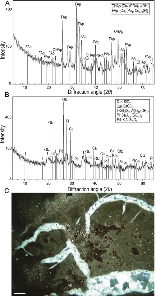 fig.7