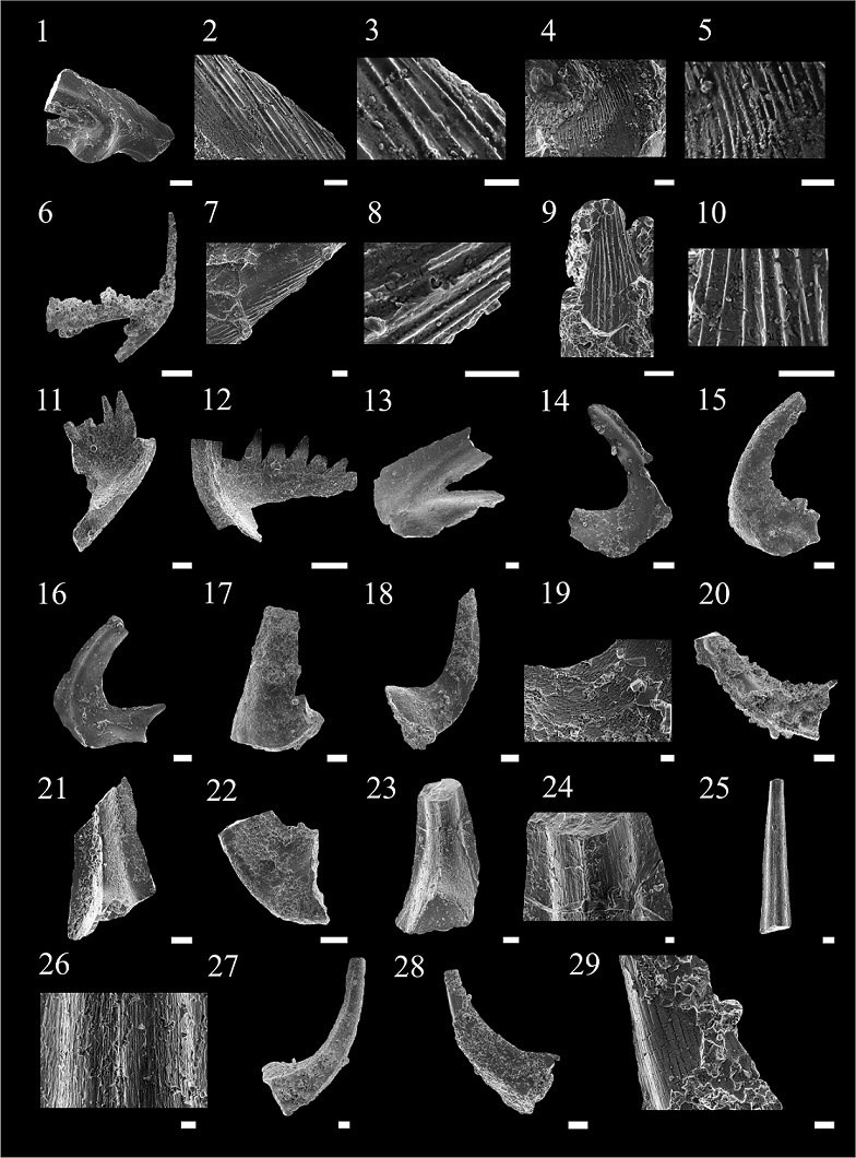 fig.7