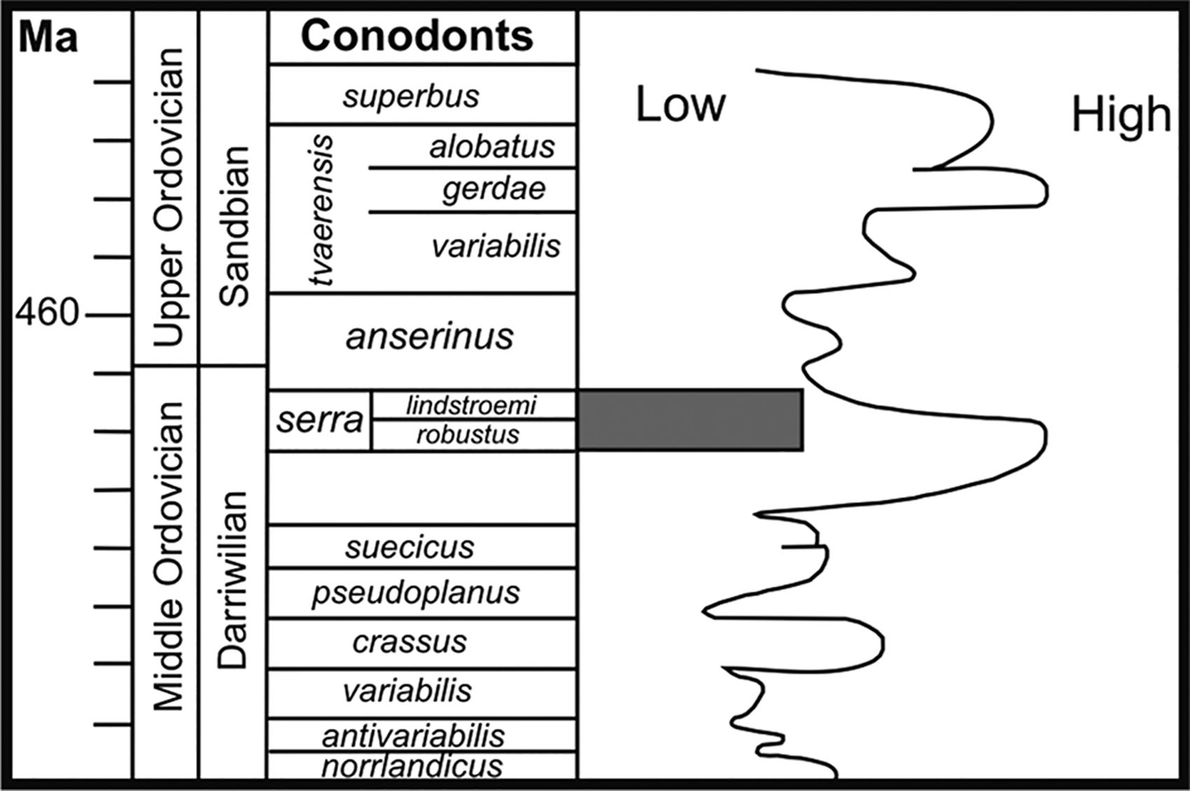 conodonts ordovician period