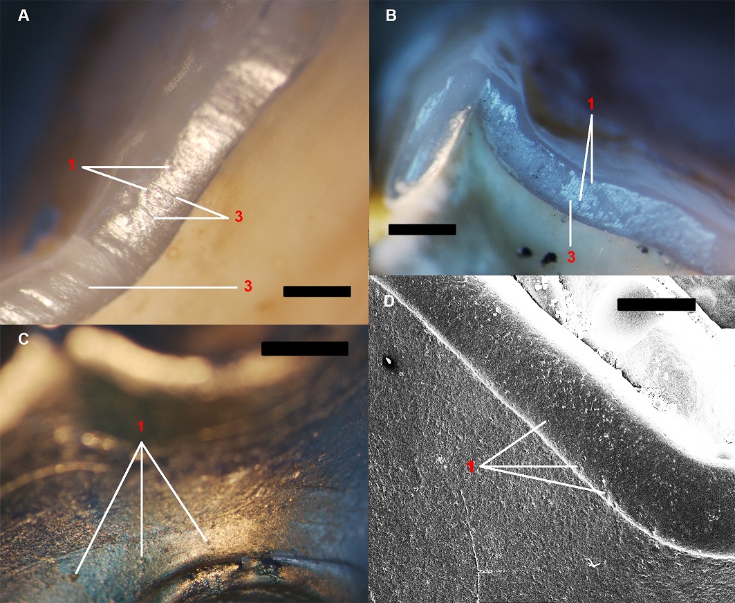 fig.4