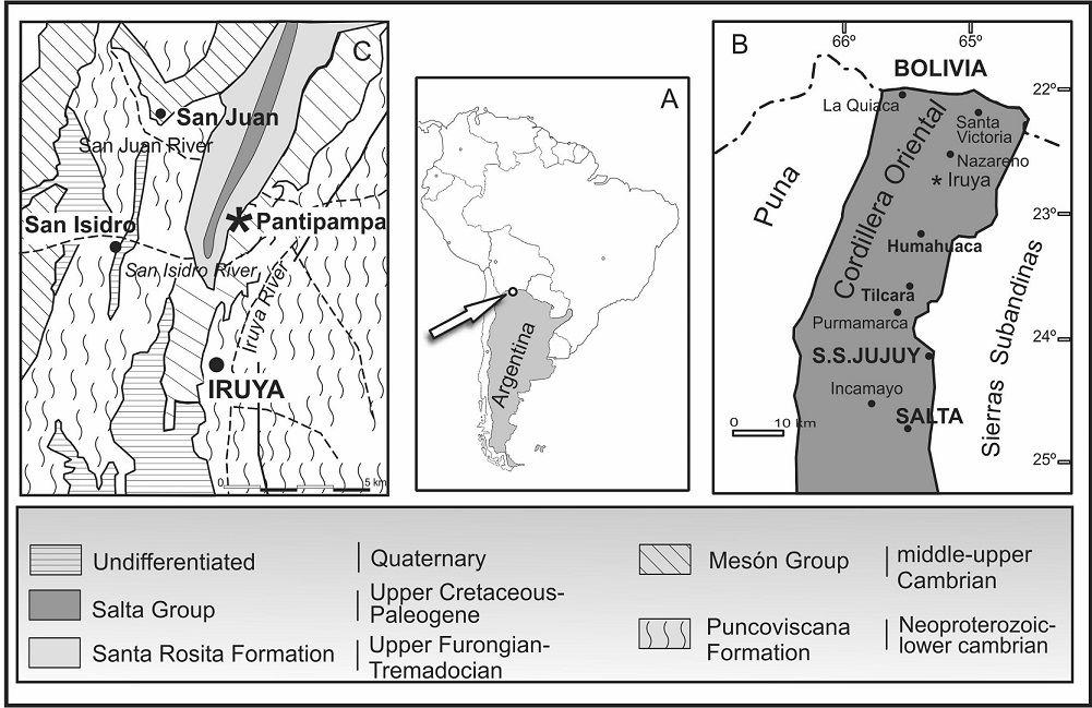 fig.1