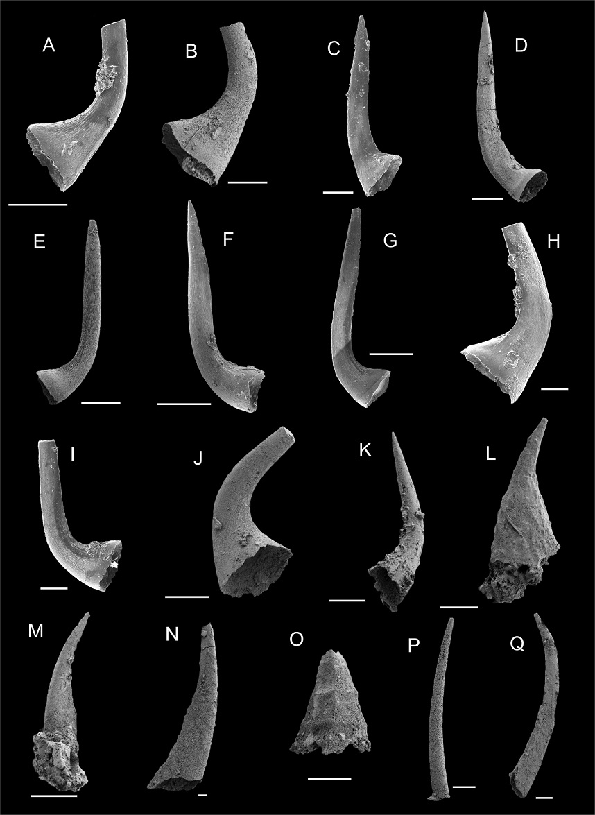 fig.5