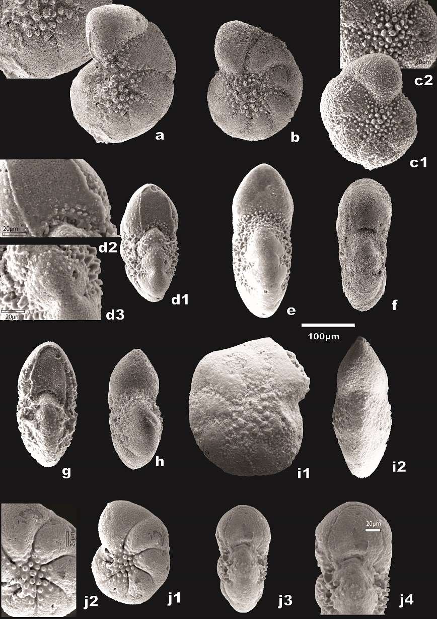 fig.7