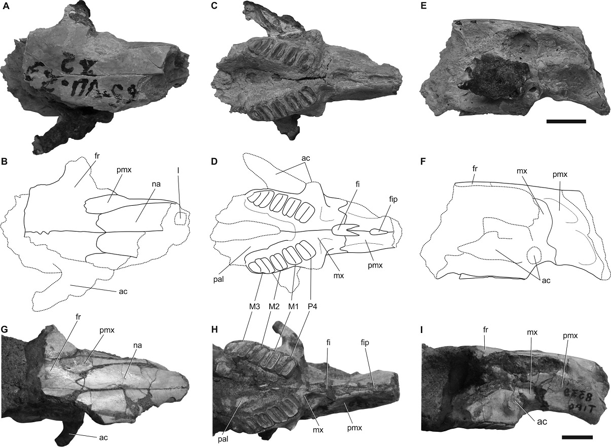 fig.5