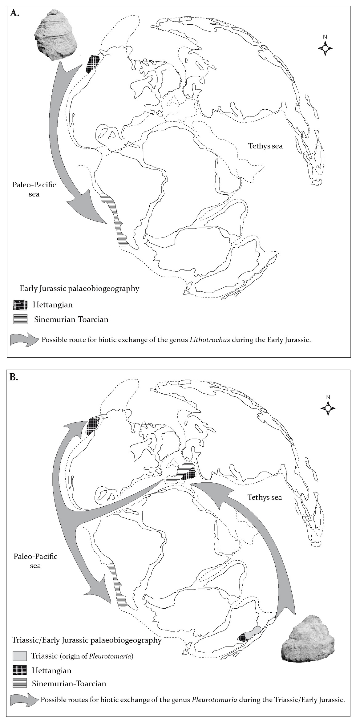 fig.6