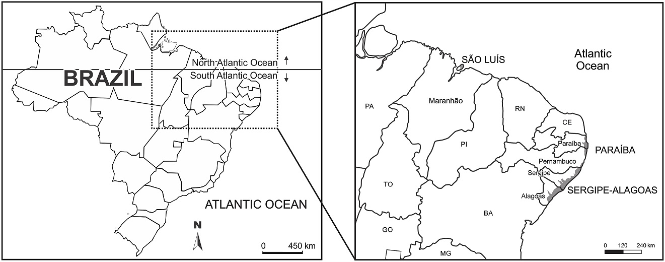 fig.1