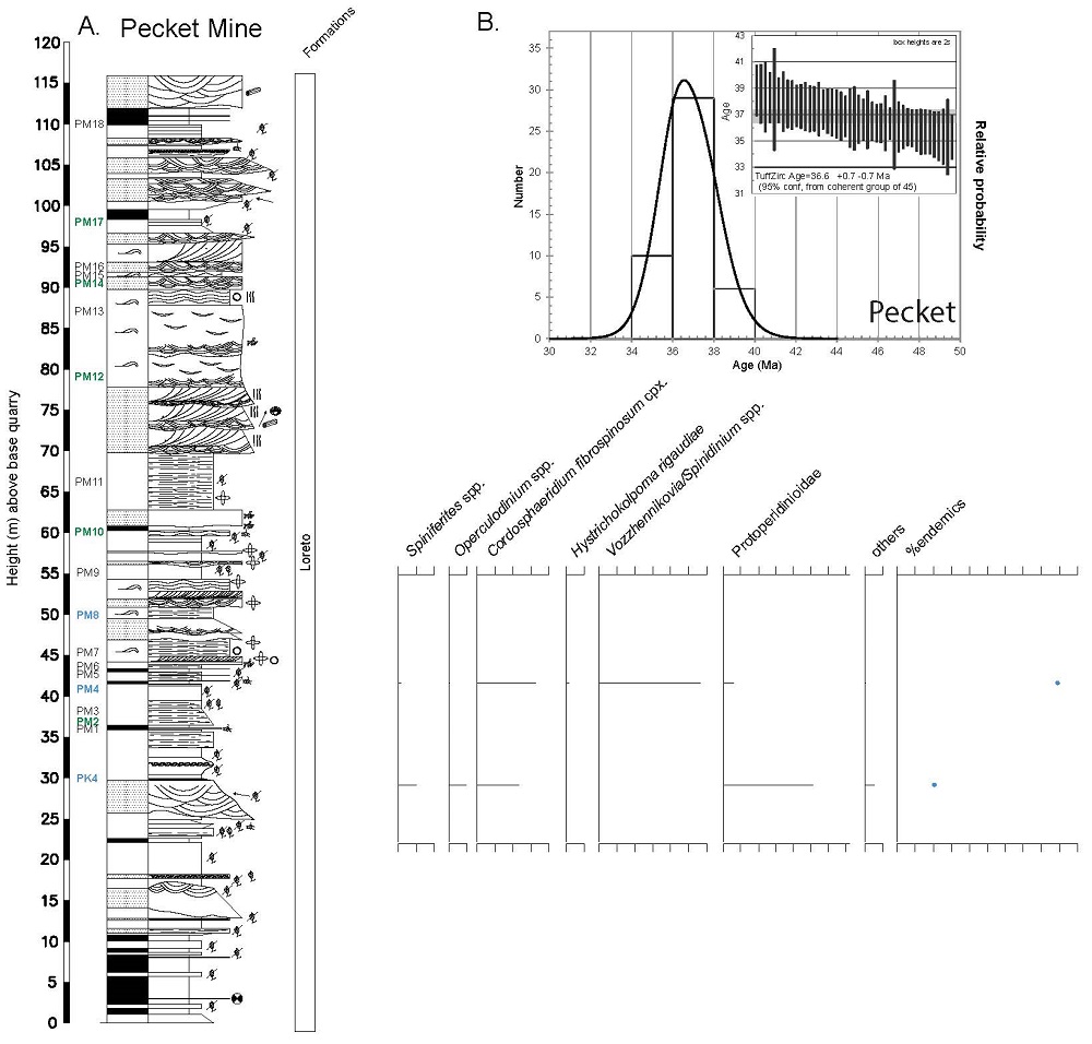 fig.9