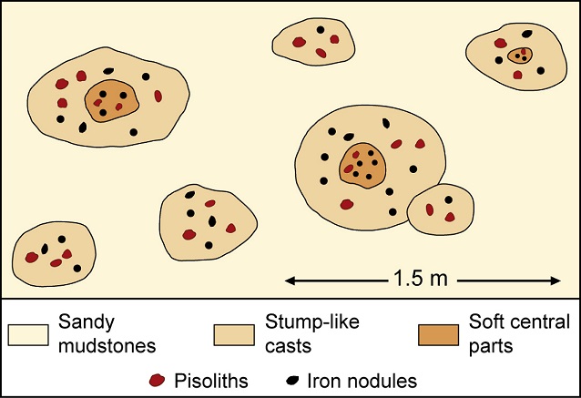 fig.10