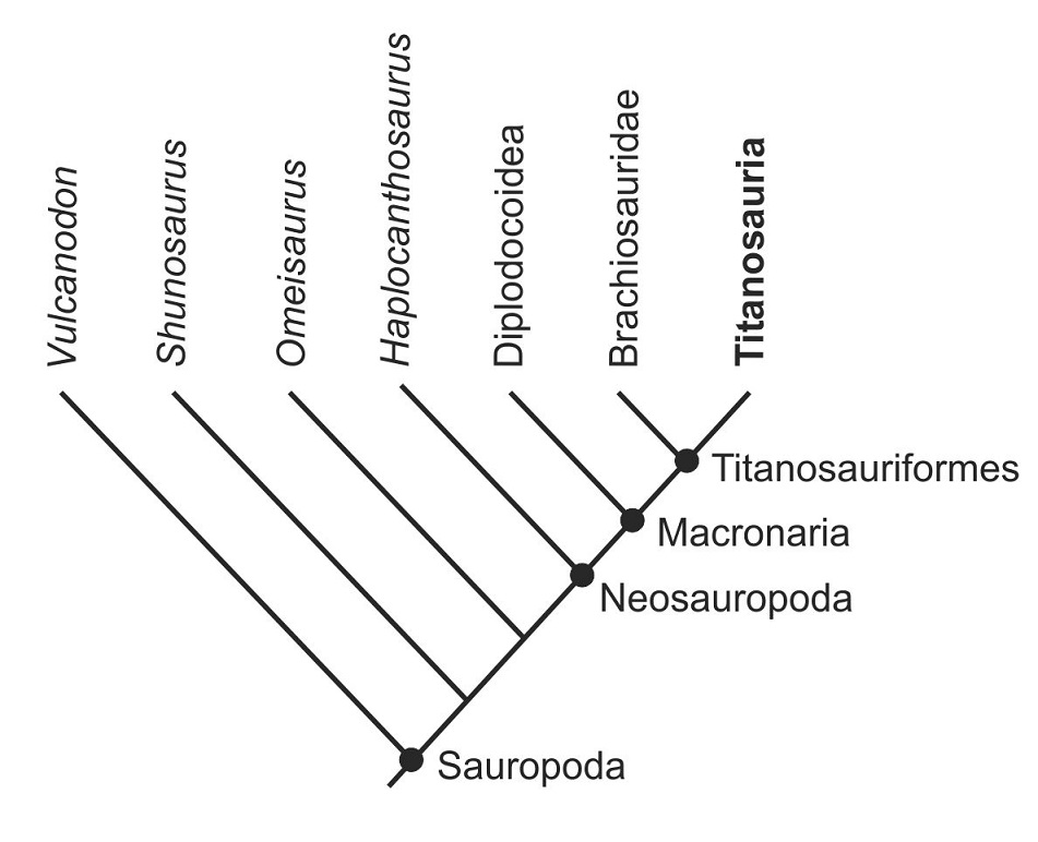 fig.2