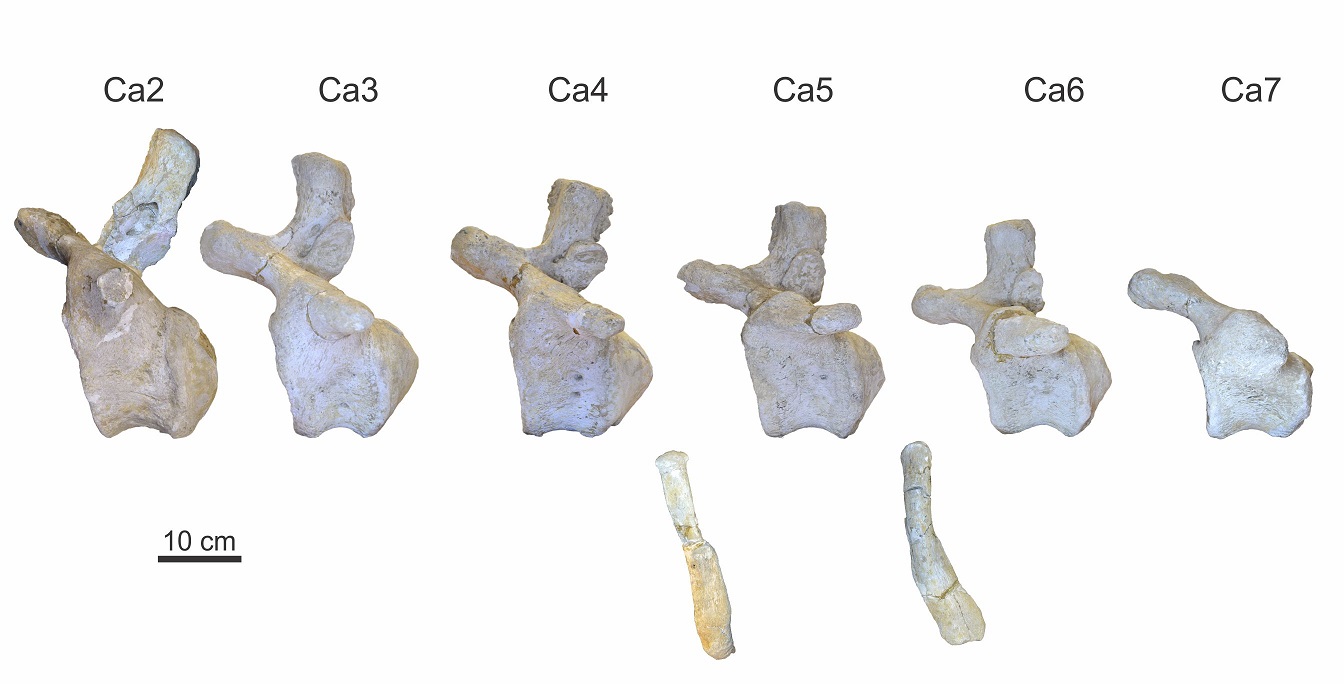 fig.3