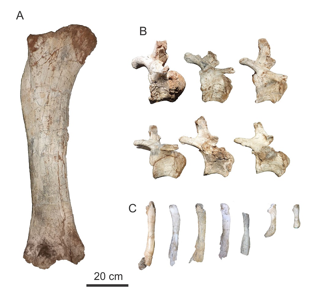 fig.4