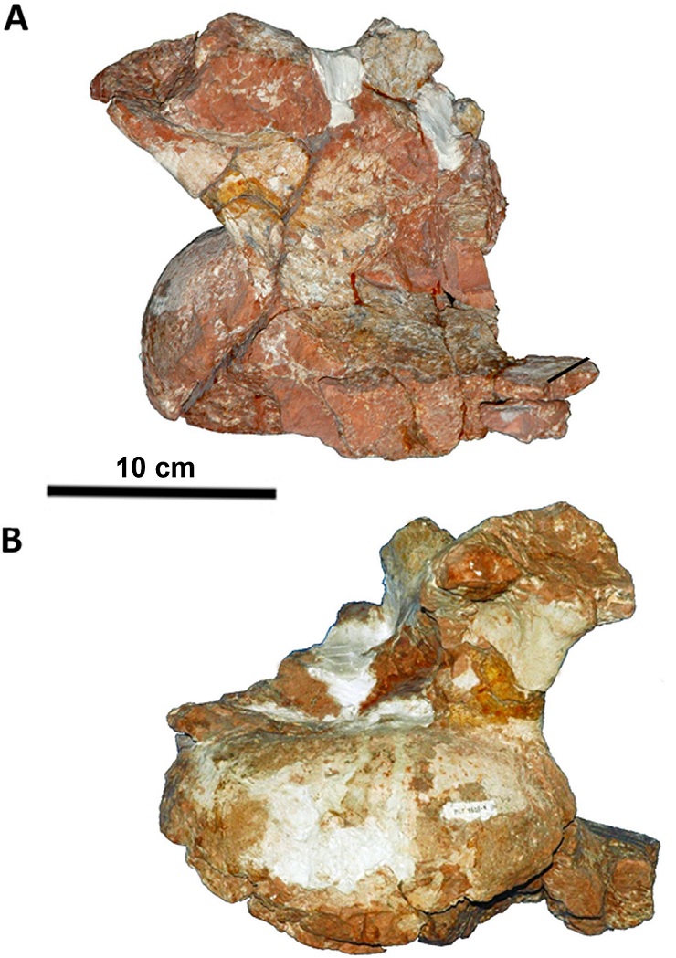 fig.5