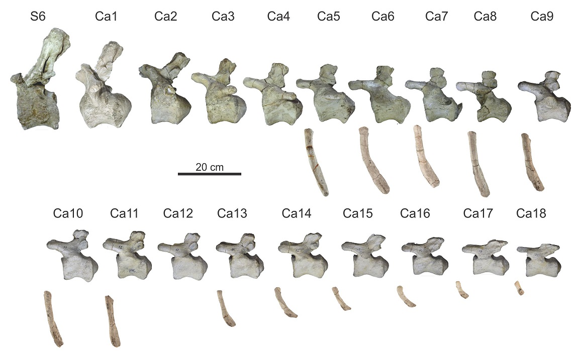 fig.6