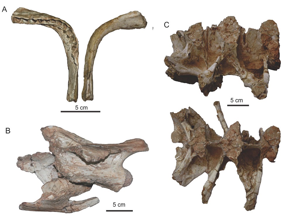 fig.7