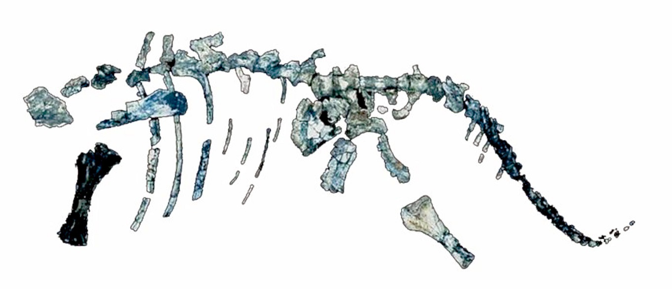 fig.8