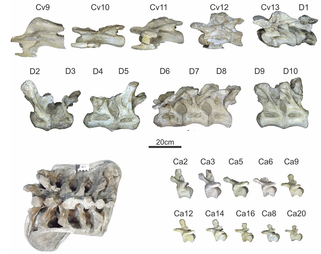 fig.10