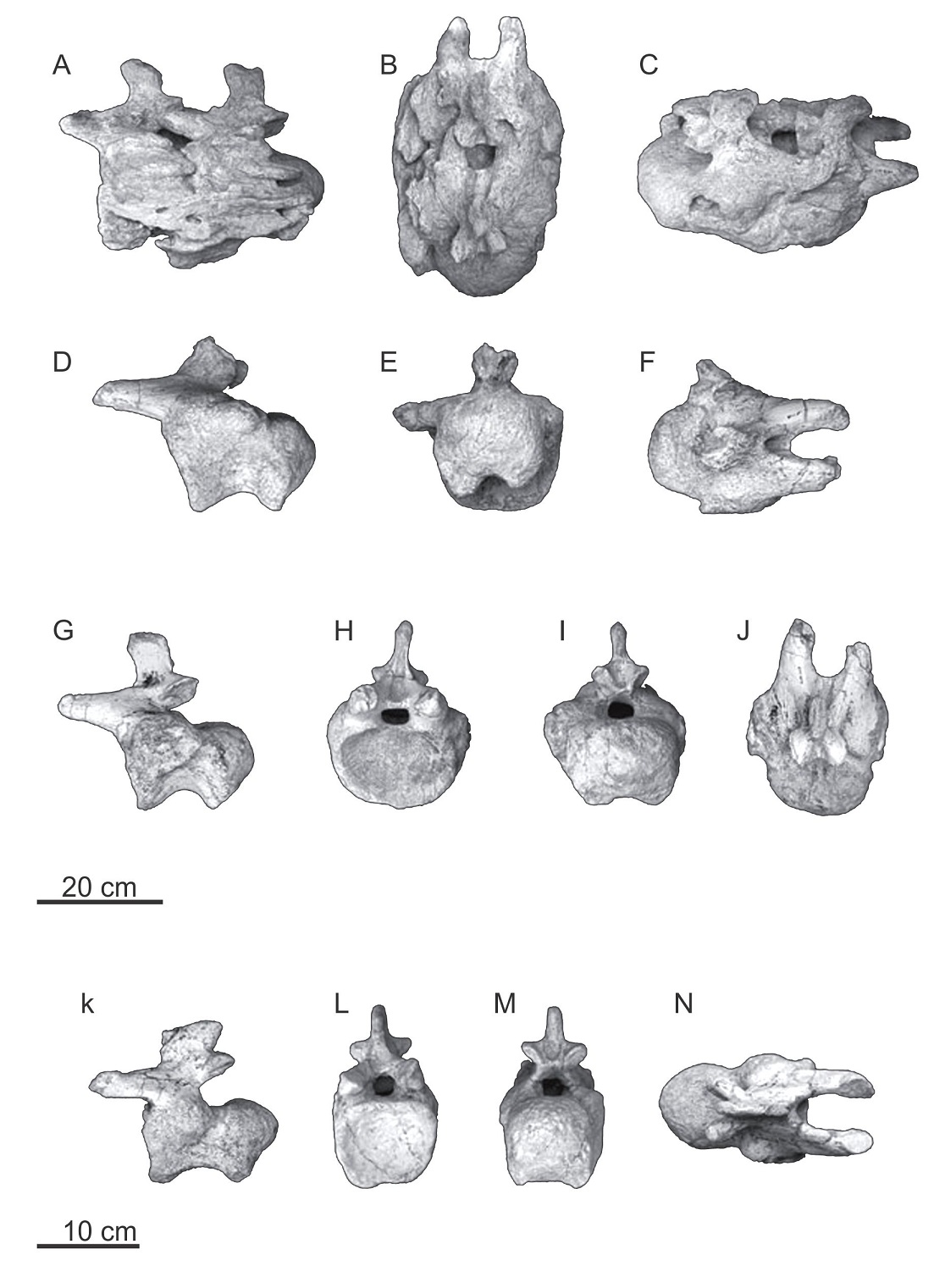 fig.11