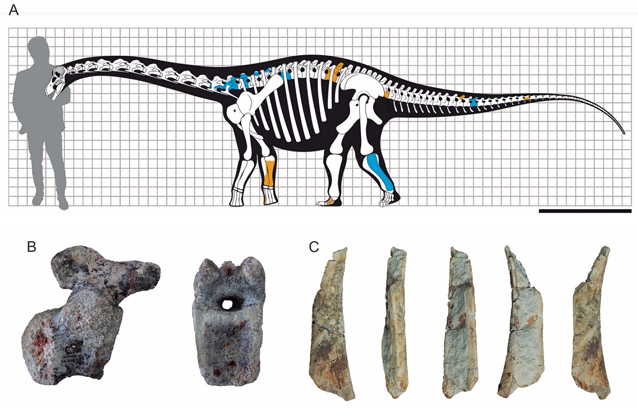 fig.12